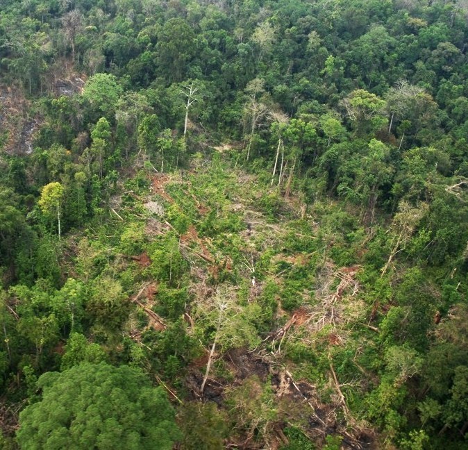 Cambodian Deforestation